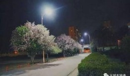 最新大城新闻爆料,揭秘最新热点事件背后的真相